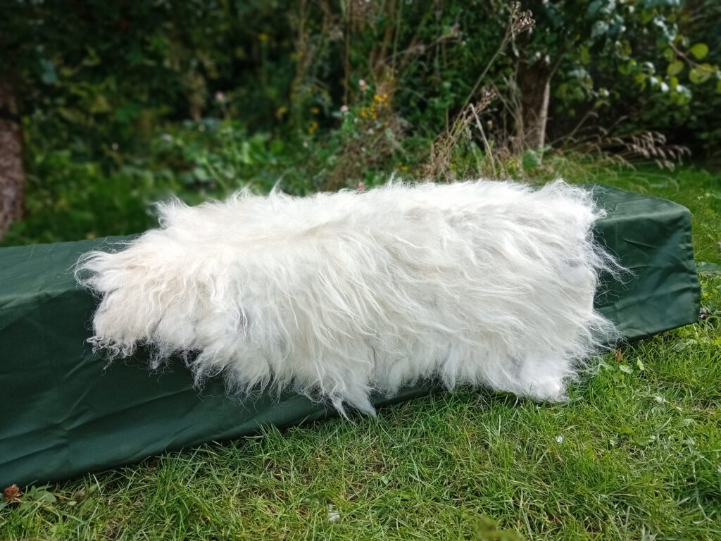 Het Blatende Schaap Cursussen Vachtvilten vilten spinnen